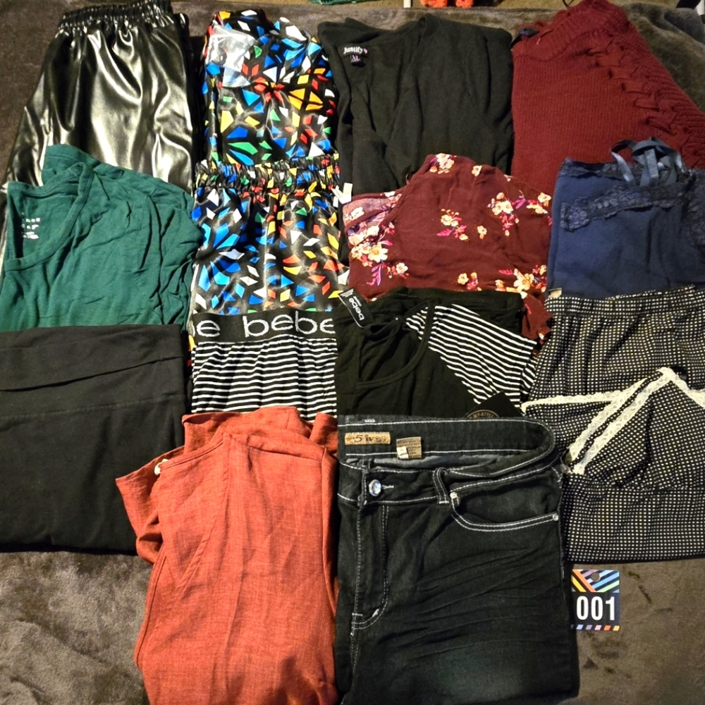 Lot/Bundle of 15 Womens Clothing (L-XL)